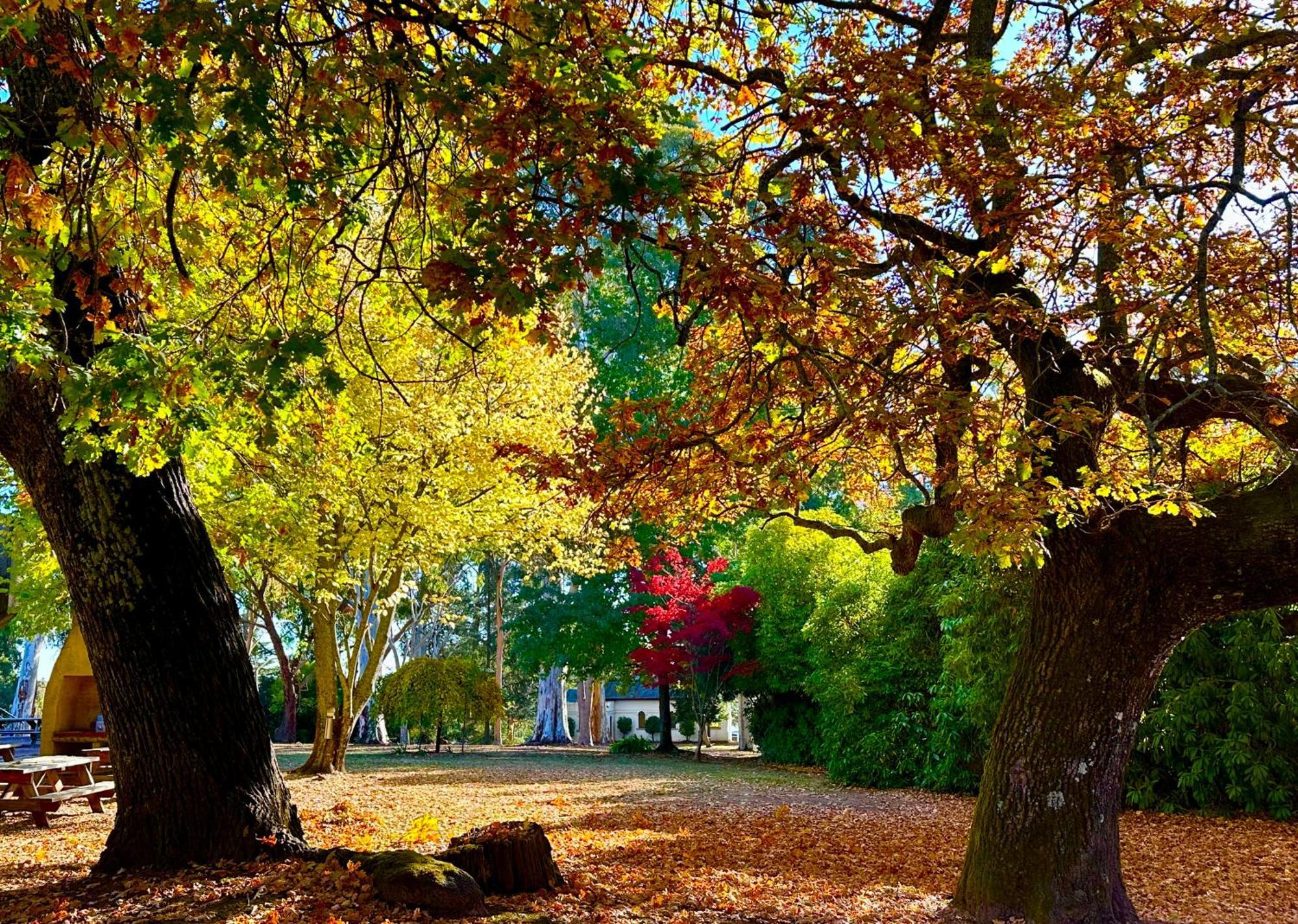 The Grand Oaks Resort Beechworth Bagian luar foto