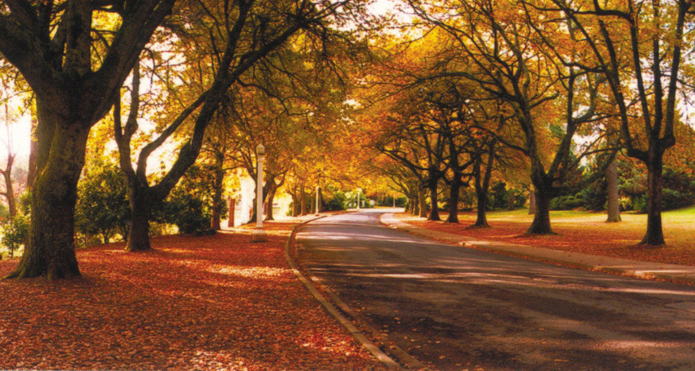 The Grand Oaks Resort Beechworth Bagian luar foto